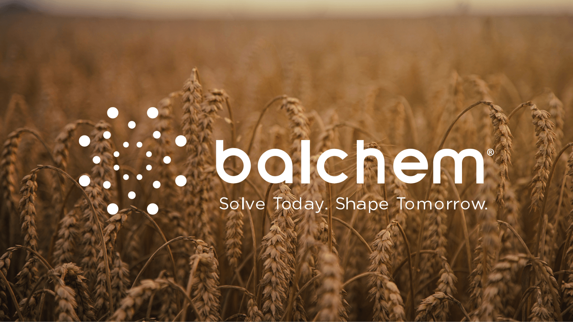 Balchem Aktie Analyse - Hidden Champion der Lebensmittelindustrie Balchem Aktie Analyse – Hidden Champion der Lebensmittelindustrie